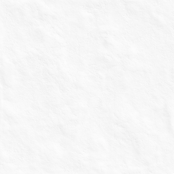 BONE WHITE